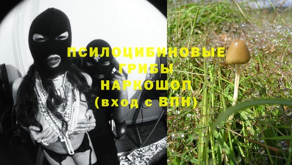 ECSTASY Лабытнанги