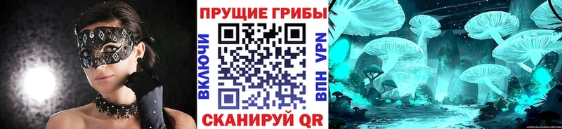 Галлюциногенные грибы прущие грибы Котлас